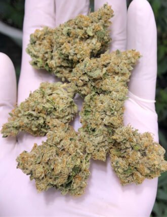 American Dream Strain Online Europe Sensi Seeds' American Dream is an indica-dominant strain that combines Afghan Skunk with DNA from Jamaica and Hawaii.