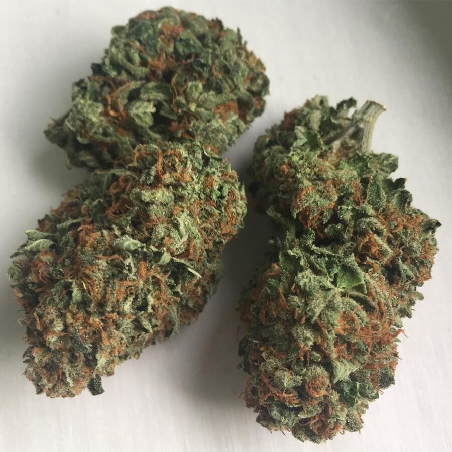 Buy Assed Monkey Strain EuropeBased on the cross between the well-known Gorilla Glue and Grape Crinkle 4 Assed Monkey was created. Provide energetic growth