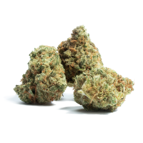 Buy Amnesia Haze Online Europe Buy Weed Online Uk Where to Buy Cannabis Online in Uk Order Weed online Uk
