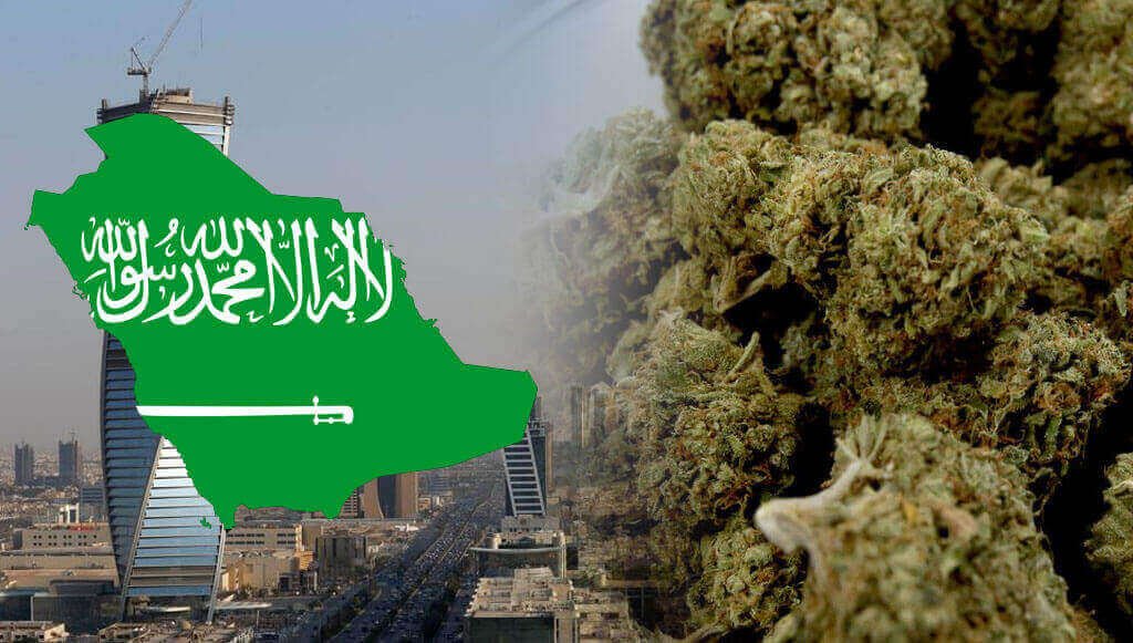 Where To Buy Cannabis Online Saudi Arabia Buy Weed Online Saudi Arabia Delta 8 THC Vape Juice Online Saudi Arabia THC Gummies Saudi Arabia.