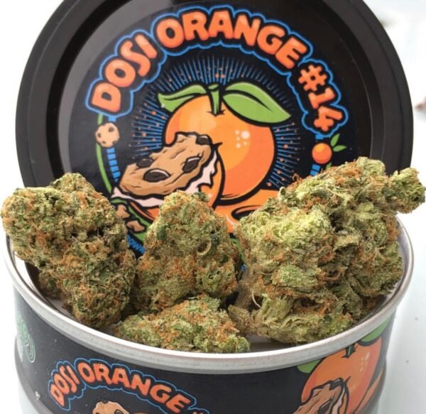 Dosi orange