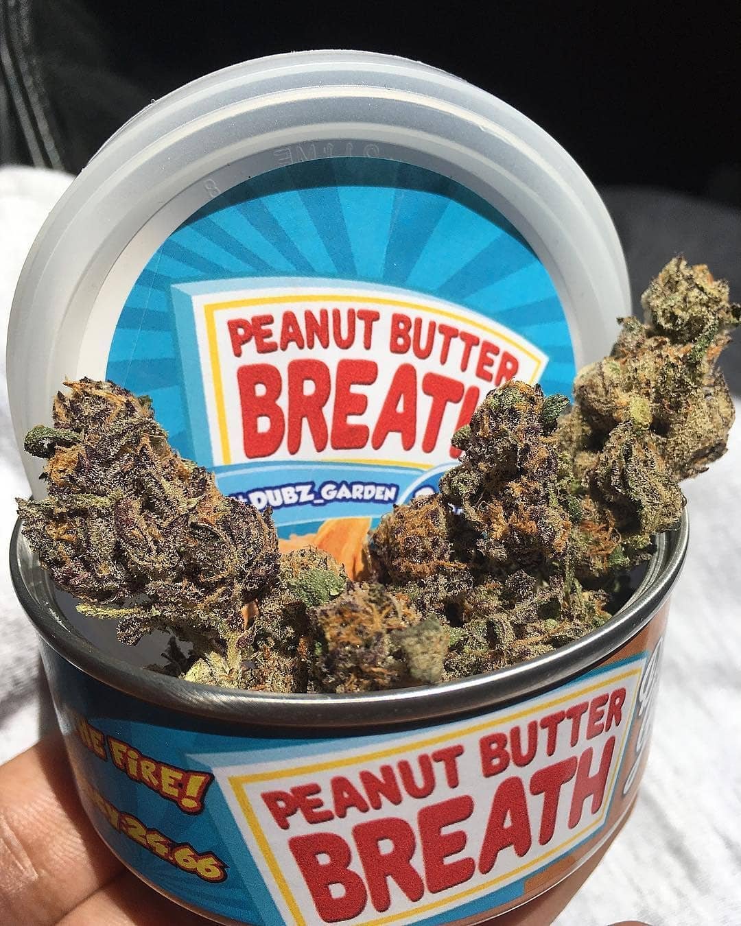 Peanut Butter Breath Big Smokey