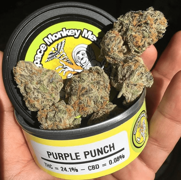 Space Monkey Meds Purple Punch