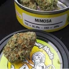 Mimosa Space Monkey